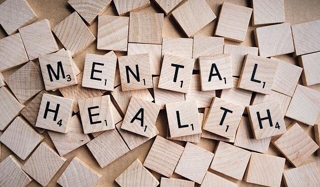 V Conferência Estadual de Saúde Mental em SSA