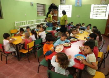 Brasil recebe  Prêmio das Nações Unidas