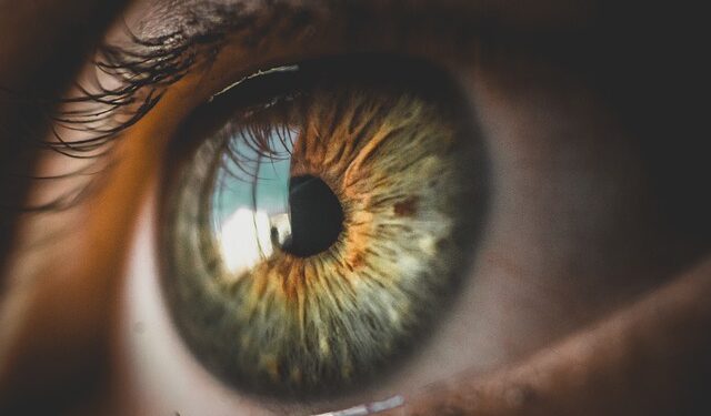 Visão: Neuromielite óptica pode levar à cegueira