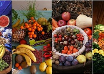 Nutrição: Ufal seleciona voluntários para pesquisa