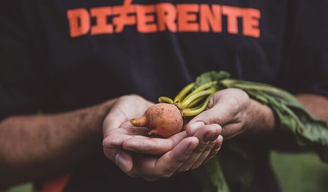Por que o brasileiro desperdiça tanto alimento?
