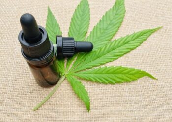 Cannabis medicinal no tratamento do Alzheimer