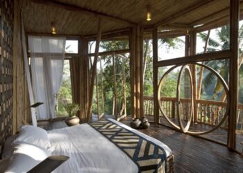 Biofilia: a arquitetura que faz bem para saúde