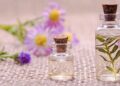 O poder da aromaterapia e dos óleos essenciais