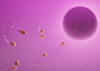 Como congelar os óvulos de forma segura?