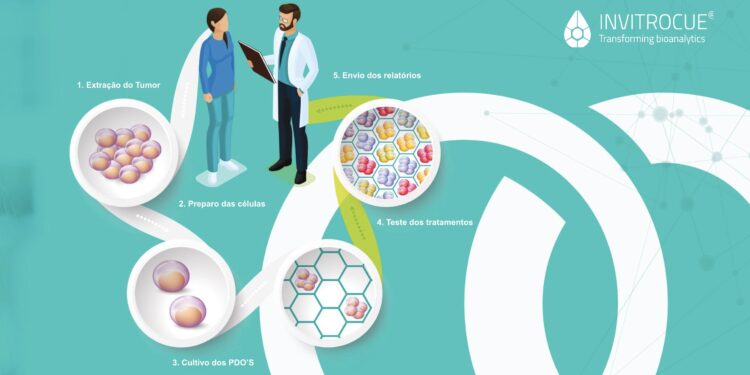 Teste indica melhor tratamento quimioterápico