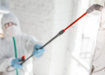 Não se engane com o invisível, diz Dr. Bactéria