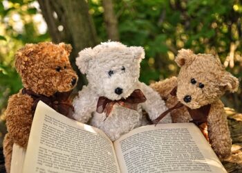 Livros são aliados da “Desintoxicação digital”