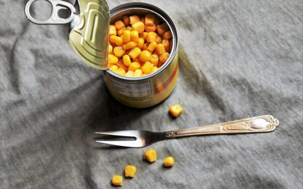 600 mil mortes por intoxicação alimentar