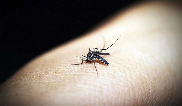 Vacina contra dengue chega ao Brasil