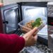 Aquecimento de alimentos exige cuidados