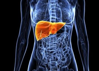 Hepatite B: um perigo silencioso