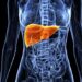 Hepatite B: um perigo silencioso
