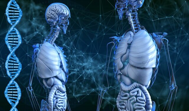 Cuidado! Estresse acelera o envelhecimento