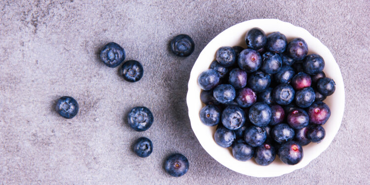 Mirtilo: a fruta que impede o acúmulo de gordura da idade