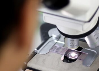 Pesquisa inédita revela 8 milhões de variantes genéticas exclusivas em brasileiros e pode transformar políticas públicas de saúde