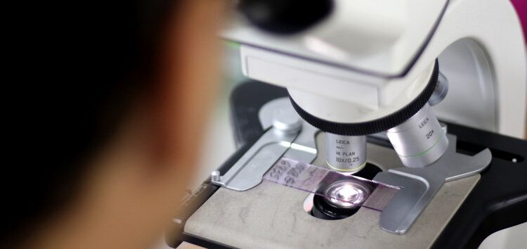 Pesquisa inédita revela 8 milhões de variantes genéticas exclusivas em brasileiros e pode transformar políticas públicas de saúde